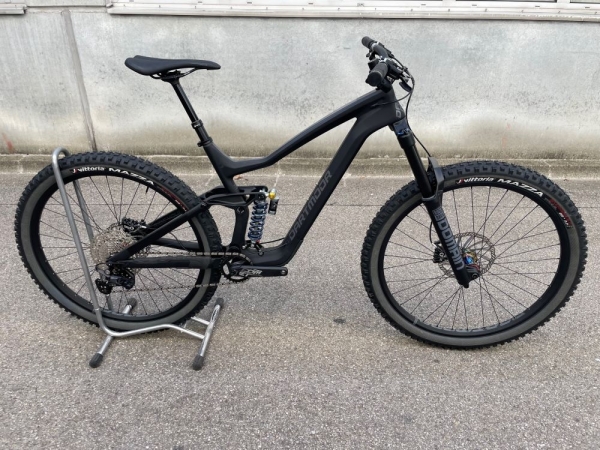 Dartmoor Trailbike Thunderbird CF Evo Carbon 29" | Matt Black/Grey | Large | Testbike