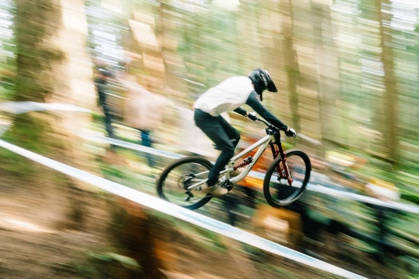 2025 Transition Bikes Downhill Rahmen TR11 Alu
