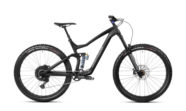 Dartmoor Trailbike Thunderbird CF Evo Carbon 29" | Matt Black/Grey | Large | Ausstellungs Bike